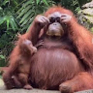 Meet your Posher, Grace